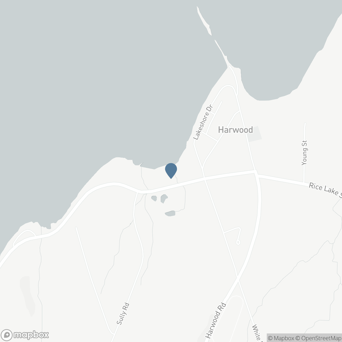 6030 RICE LAKE SCENIC DRIVE, Harwood, Ontario K0K 2H0